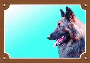 Farbschild Achtung Hund, Tervueren